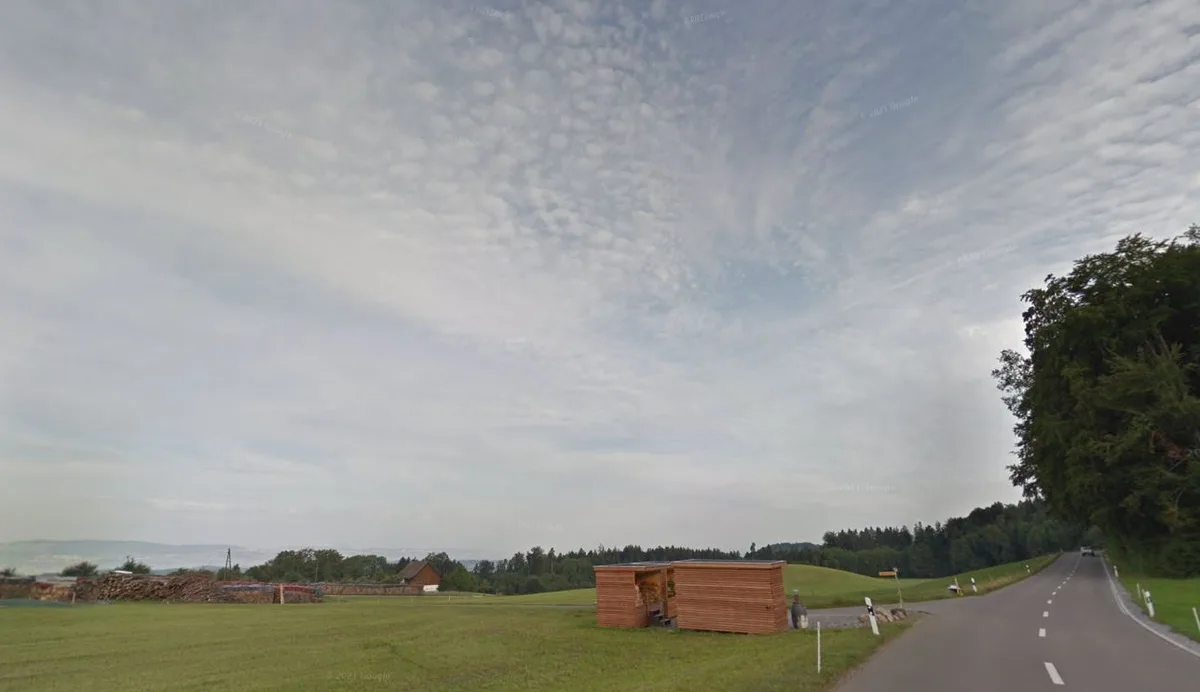 Blick auf eine Weide und eine Strasse. 